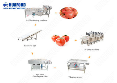 Fruit And Vegetable Processing Machinery Vegetable Processing Unit Tomato Processing Equipment
