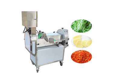 1000kg/H Multifunction Vegetable Cutting Machine