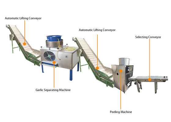 High Efficiency 200-300kg/H Automatic Garlic Peeling Production Line