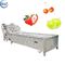 Stainless Steel 304 Automatic Ultrasonic Vegetable Washing Machine Industrial Vegetable Washer
