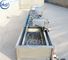 Stainless Steel 304 Automatic Ultrasonic Vegetable Washing Machine Industrial Vegetable Washer