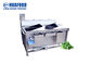 Double Trough 15-20 Kg/Time Vegetable Washing Machine Multi Function