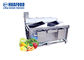 Double Trough 15-20 Kg/Time Vegetable Washing Machine Multi Function