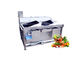 Double Trough Vegetable Fruit Washing Machine 380V 3 HP