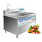 0.5KW Automatic Vegetable Washing Machine Small Air Bubble Washing Machine