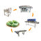SS304 Vegetable And Fruit Washing Machine Mango Processing Line