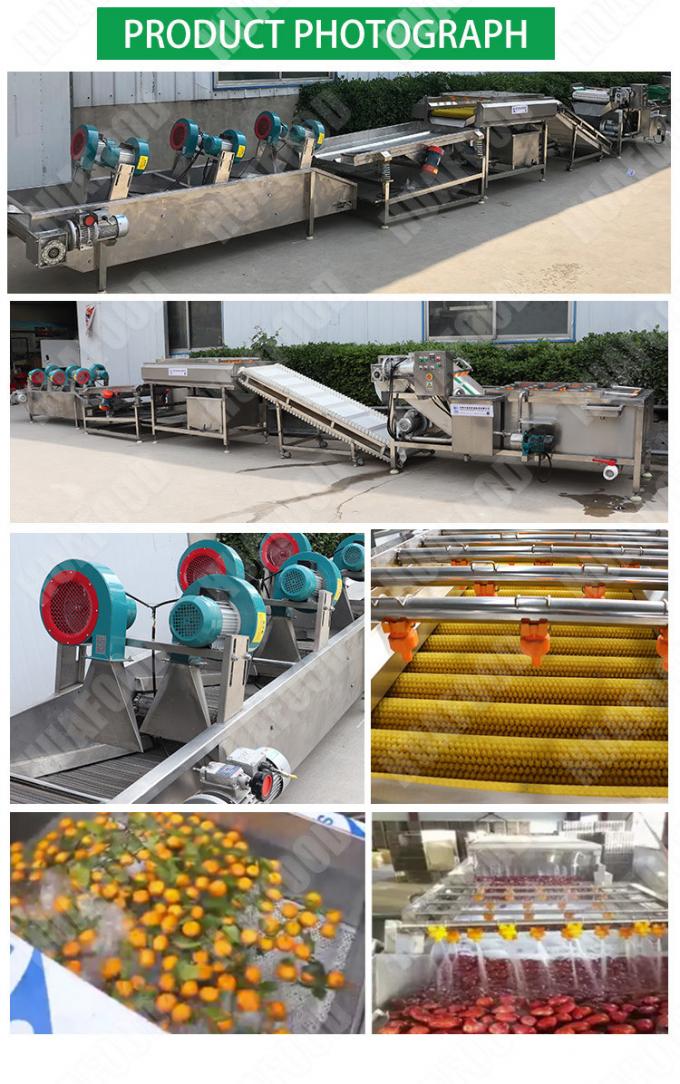 500kg / H AutomaticFruit And Vegetable Processing Line Fruit And