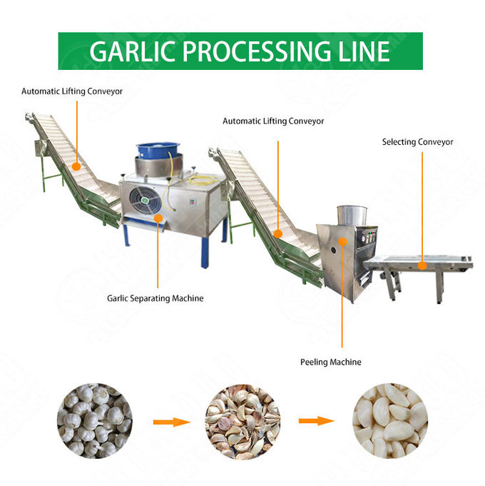 Industrial Automatic Garlic Breaking Peeling Peeler Processing Machine