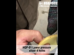 Vegetable and fruit slicer machine