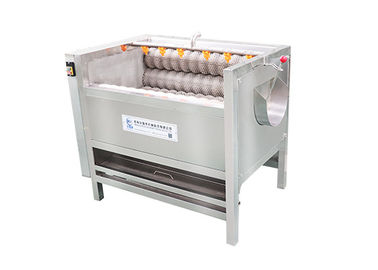 Vegetable Cleaning Equipment 1000kg/H New Arrival Fruit Potato Conveyor Cleaning Machines With New Designe