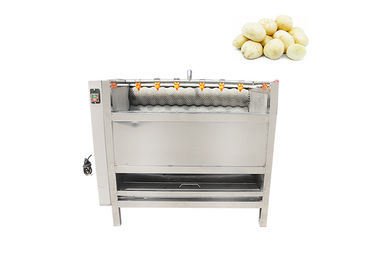 Fruit Carrot Peeler Potato 1000kg/h Vegetable Washing Machine