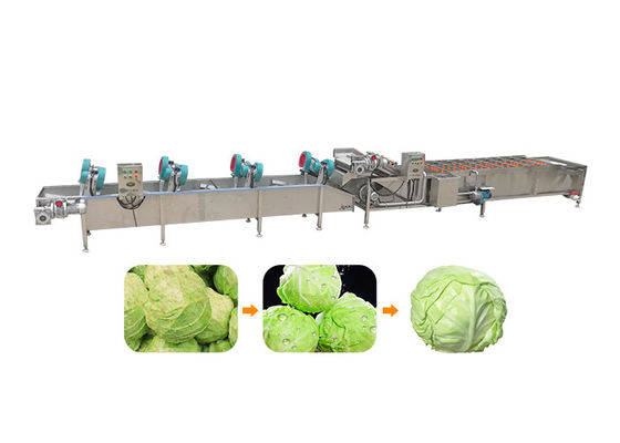 5.1KW 380v 50hz 1500kg/H Vegetable Cleaning Machine