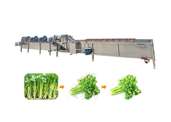 Ss304 1500kg/H Fruit And Vegetable Processing Machine