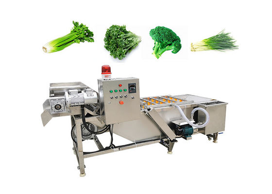 Fruits 380V Vegetable Washing Machine With Conveyor