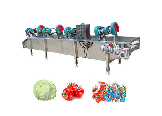 Cleaning Processing 500kg/h Fruits Vegetable Air Dryer