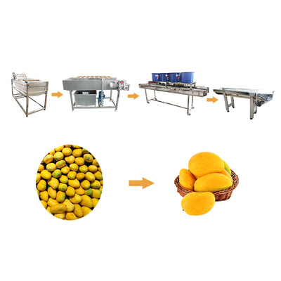 Mango Vegetable Washing Machine Large Capital Fruit And Vegetable Cleaning Line