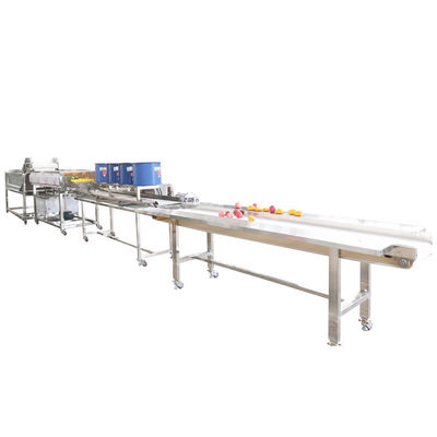 Peach Cleaning Drying Machine Vegetable Cutter And Washing Machine Line