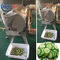 Catering Enterprises Green Leafy Vegetable Cutter , Potato Cutting Machine