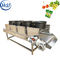 Continuous Vegetable Fruit Dryer Machine , Food Dehydrator Machine Conveyor Belt Width 600mm