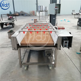 Commercial Brush Root Vegetable Washing Machine For Bamboo Shoots / Mushrooms