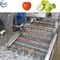 Automatic Food Processing Machines Fruit And Vegetable Washing Equipment