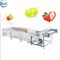 Vegetable Washer Machine With Water Circulating System Fruit Washing  Machine