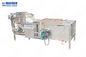 Hair Removel Fruit And Vegetable Washing Machine 500 - 1000kg / H Capacity Automatic Vegetable Washer