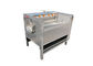 1000kg/h Food Factory Conveyor Belt Cleaning Brush Washing Machine