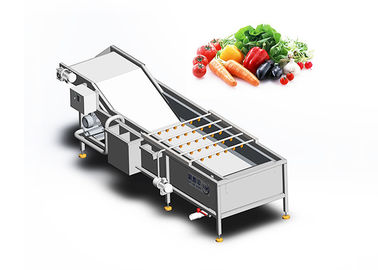 Iso 9001 Vegetable Washing Machine