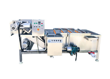 4000kg/H Vegetable Washing Machine