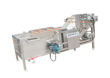 Iso 9001 Vegetable Washing Machine