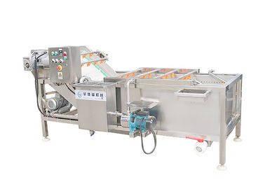 500kg/H Tomatoes Cabbage Air Bubble Washing Machine SUS 304 Stainless Steel Vegetable Washer