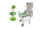Commercial Electric Leafy Pepper Multifunction Vegetable Cutting Machine