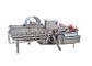 SUS304 1000KG/H Vortex Leafy Vegetable Washing Machine