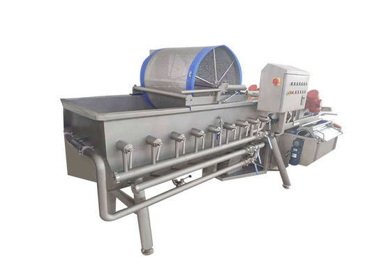 50HZ 4KW 1000KG/H Vegetable Vortex Cleaning Machine
