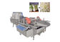 CE Approved Broccoli Lettue 1 Ton/H Vegetable Washing Machine