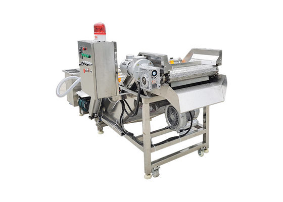 Air Bubble 3.75KW 500kg/h vegetable washing equipment