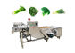 Fruits 380V Vegetable Washing Machine With Conveyor