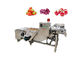 Vegetable Fruit SUS304 500kg/h Air Bubble Washing Machine