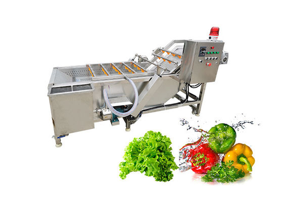 Air Bubble 3.75KW 500kg/h vegetable washing equipment