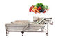 500kg/H 3.75KW SUS 304 Apricot Celery Washing Machine