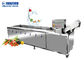 Large Spray Cleaning Machine Fruit And Vegetable Cleaning Machine