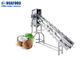 CE ISO Fruit And Vegetable Processing Line Coconut Processing Line