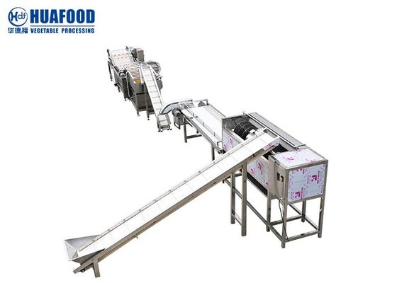 0.5T/H Fruit And Vegetable Processing Line Sweet Potato Washing Cleaning Sorting Selecting