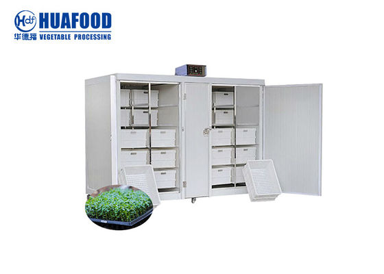 250kg/Day Automatic Food Processing Machines Mung Bean Sprout Machine
