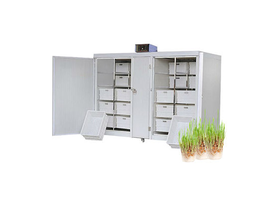 250kg/Day Automatic Food Processing Machines Mung Bean Sprout Machine