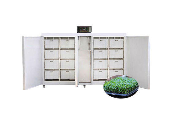250kg/d Commercial Seed Germination Machine Automatic Bean Seed Sprout Machine