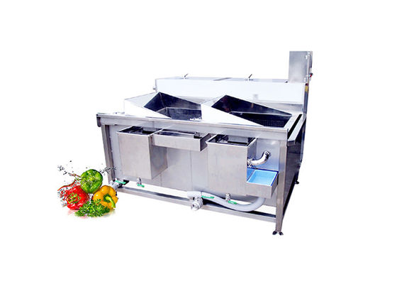 20kg/Time Vegetable Washing Machine Industrial Vegetable Bubble Washing Machine