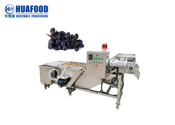 500kg/h Grape Washing And Drying Machine SUS 304 Stainless Steel