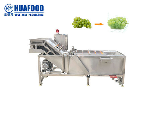 SUS304 Fruit And Vegetable Washing Machine Grape Cleaner Machine